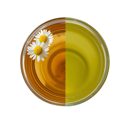 TAJA TEA DUO - Chamomile + Green Tea, 6 Box Variety Pack