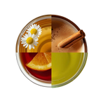 TAJA Discovery Set – 4 Flavor Variety Pack